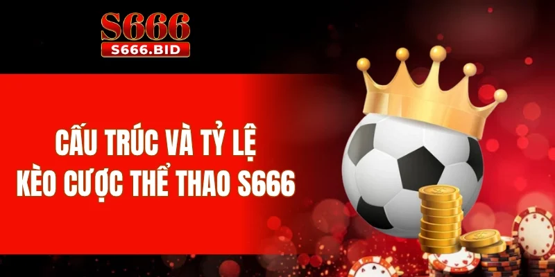 Thể thao S666 - Sảnh cược thể thao trực tuyến, kèo hấp dẫn 3 Cấu trúc và tỷ lệ kèo cược thể thao S666