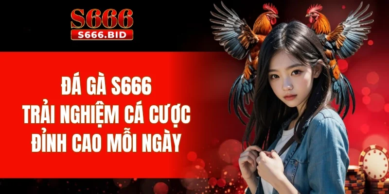 Đá gà s666