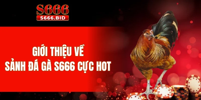 Đá gà S666 - Siêu phẩm cá cược từ trường gà Thomo 1 Giới thiệu về sảnh đá gà S666 cực hot