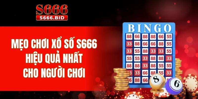 Xổ số S666 - Công nghệ hiện tại, kết quả minh bạch 4 Mẹo chơi xổ số S666 hiệu quả nhất cho người chơi