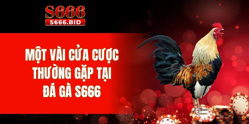 Đá gà S666 - Siêu phẩm cá cược từ trường gà Thomo 4 Một vài cửa cược thường gặp tại đá gà S666