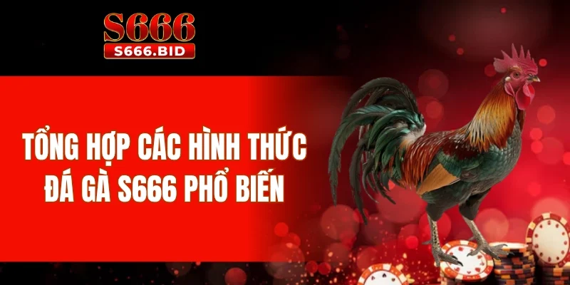 Đá gà S666 - Siêu phẩm cá cược từ trường gà Thomo 3 Tổng hợp các hình thức đá gà S666 phổ biến